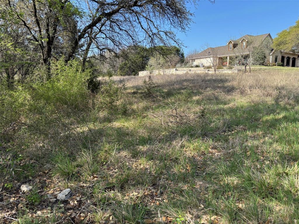 White Bluff #01 - Land