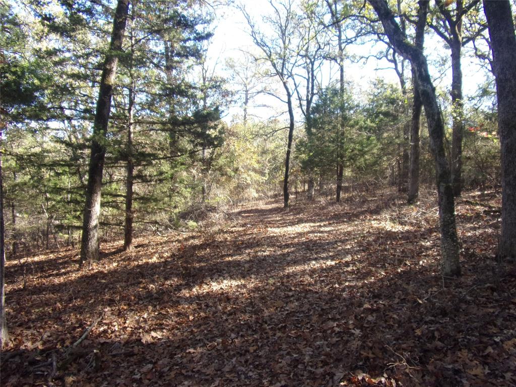 Callender Lake - Land