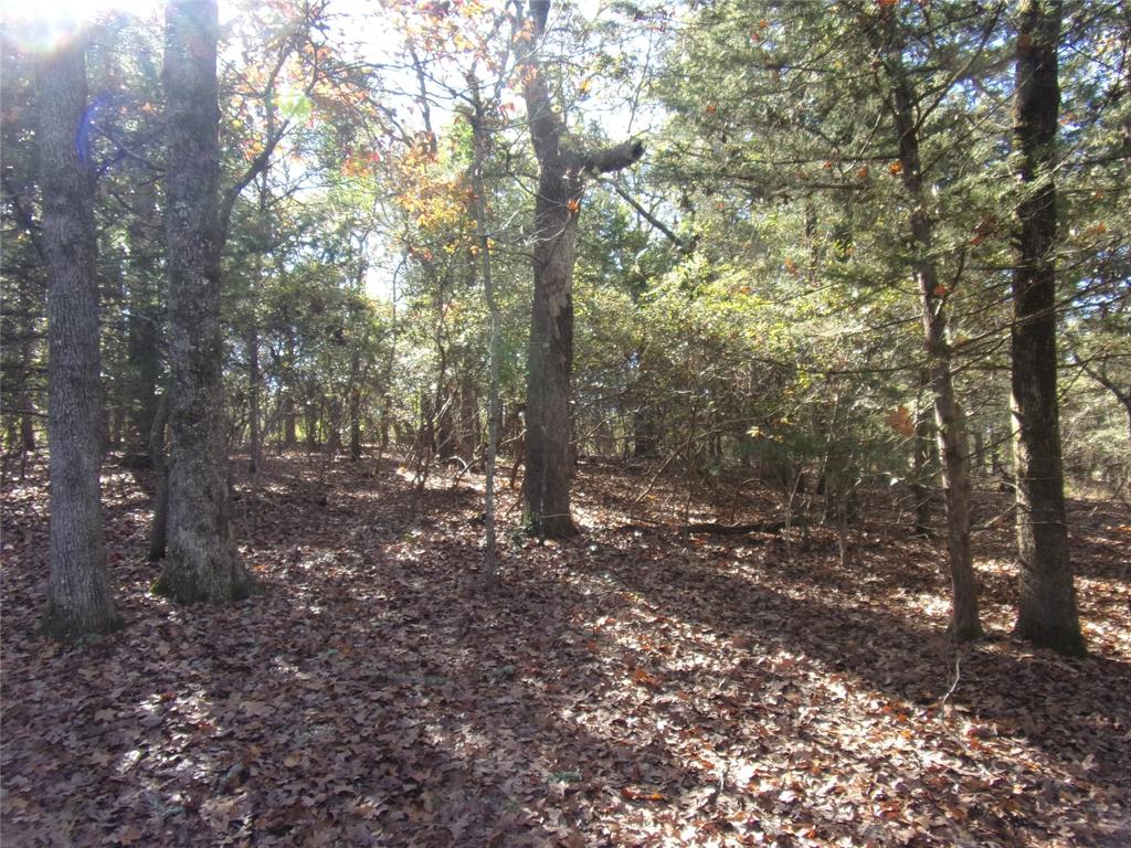 Callender Lake - Land