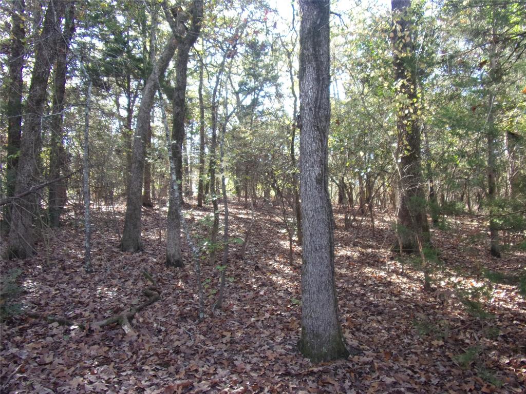 Callender Lake - Land