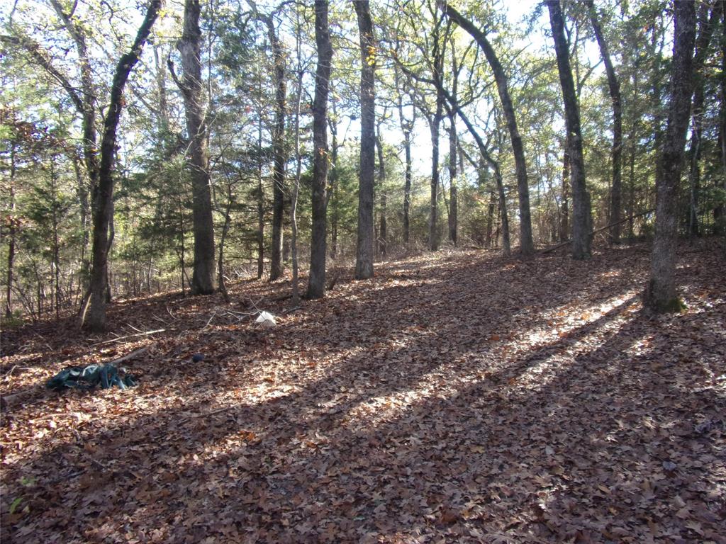 Callender Lake - Land
