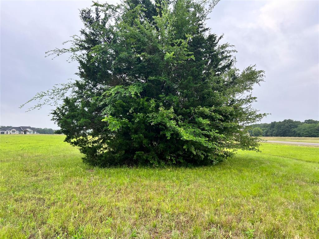 The Shores On Richland Chamb - Land