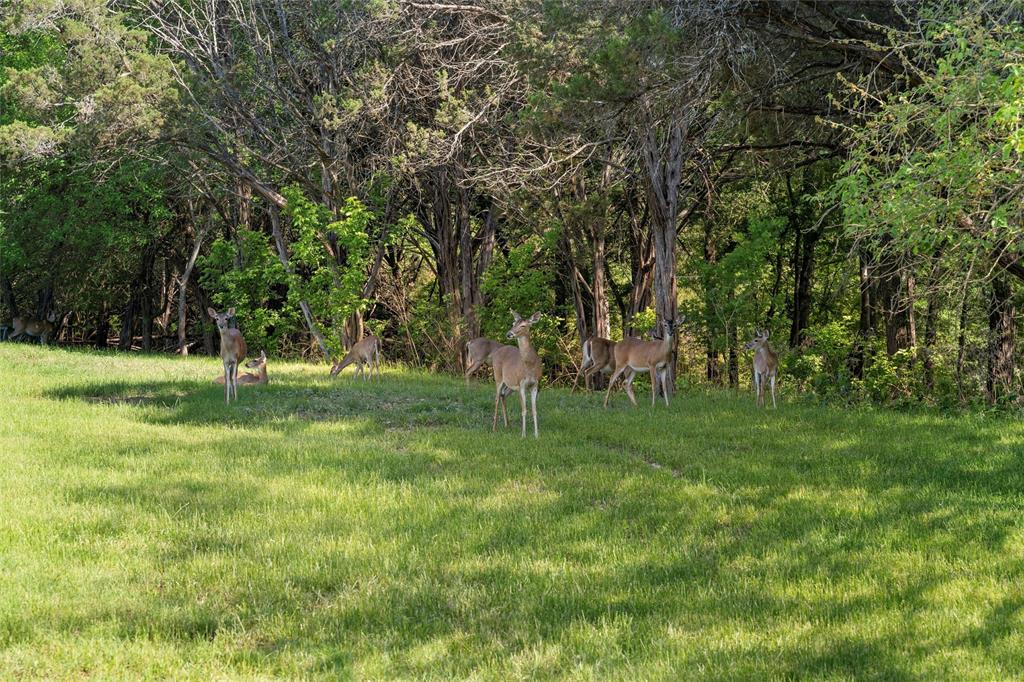 Riverside Acres Add - Land