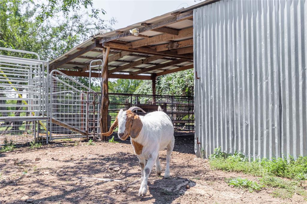 Cedar Mountain Est - Residential