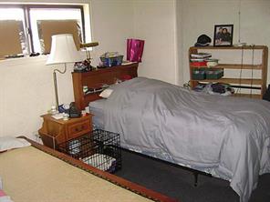 Yins - Commercial Sale