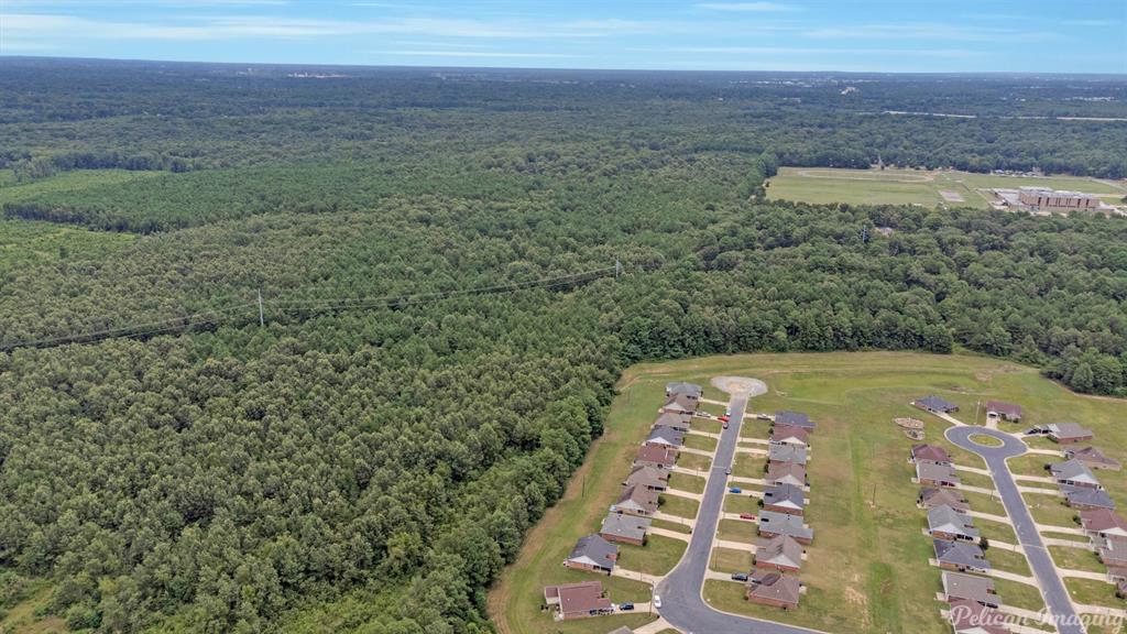 Robert Mandell Partition - Land