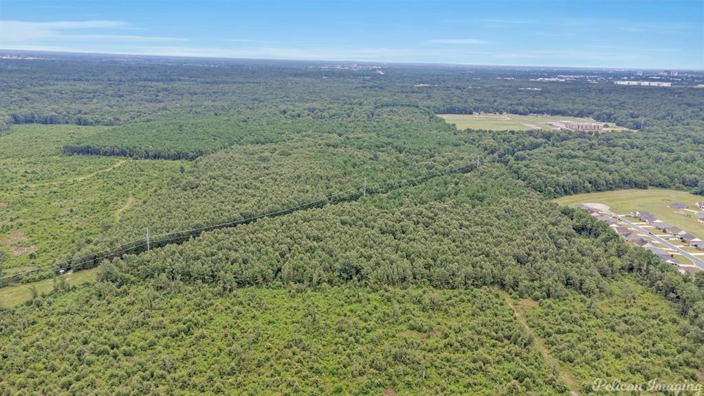 Robert Mandell Partition - Land