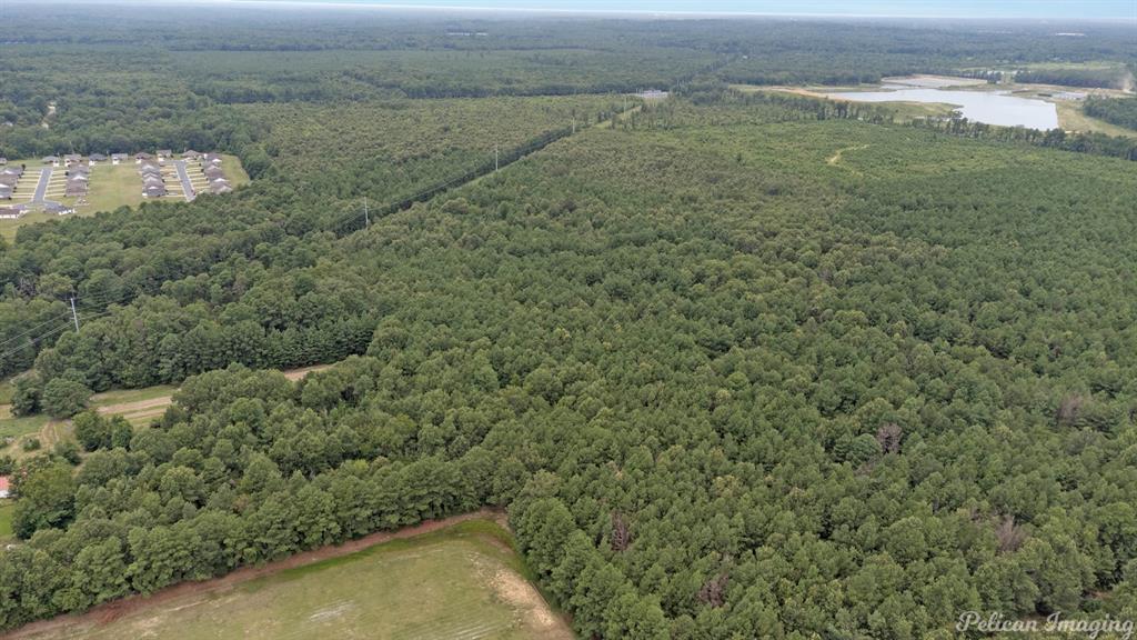 Robert Mandell Partition - Land