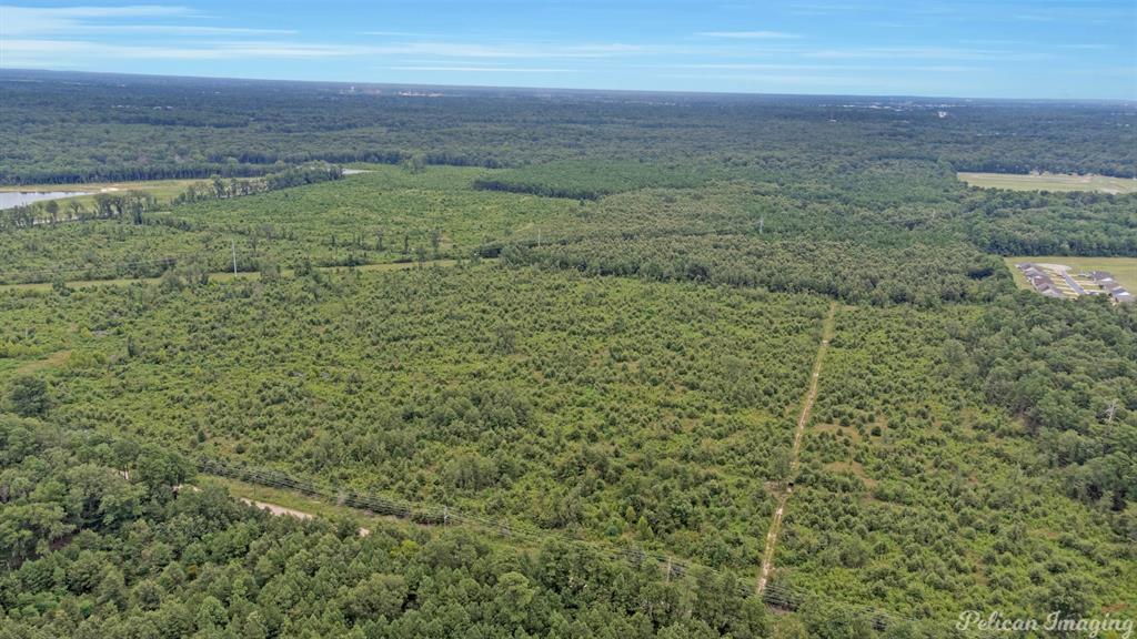 Robert Mandell Partition - Land