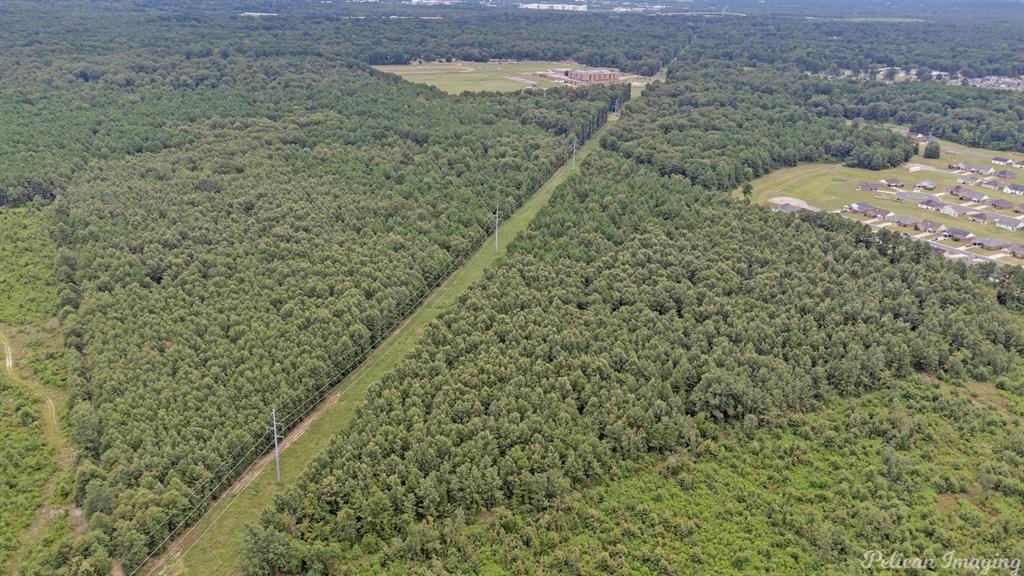 Robert Mandell Partition - Land