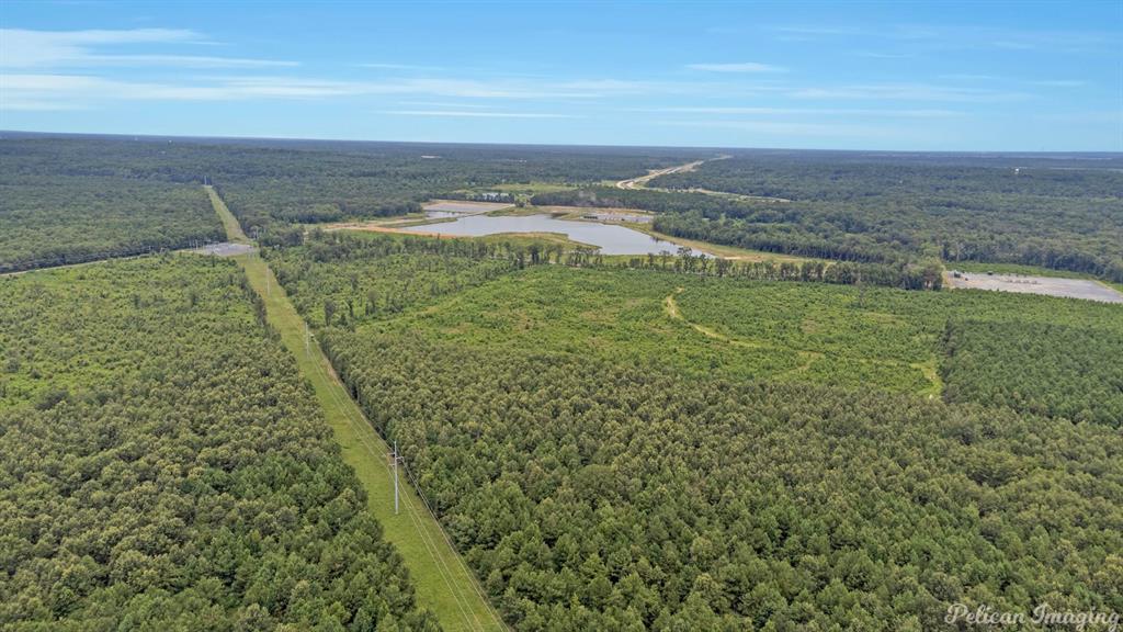 Robert Mandell Partition - Land