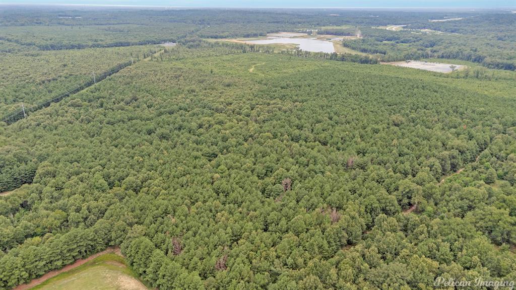 Robert Mandell Partition - Land