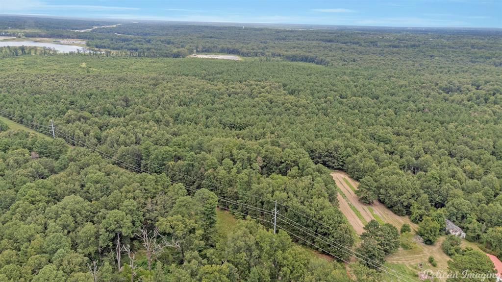 Robert Mandell Partition - Land