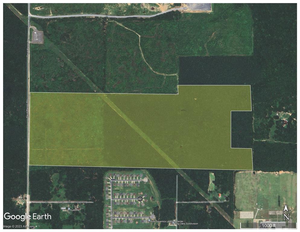 Robert Mandell Partition - Land