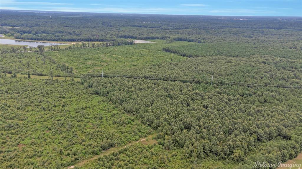 Robert Mandell Partition - Land