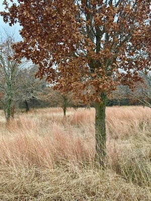 702 COUNTY ROAD 3597, BOYD, TX 76023 - Image 9e69356ae54f01ad08d12f7e6da25dba/2017180968