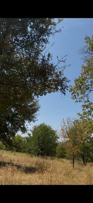 HILLSIDE CIR, LONE OAK, TX 75453 - Image 9e7d63cbd81a814f6185ea2517d3dafc/3889012465