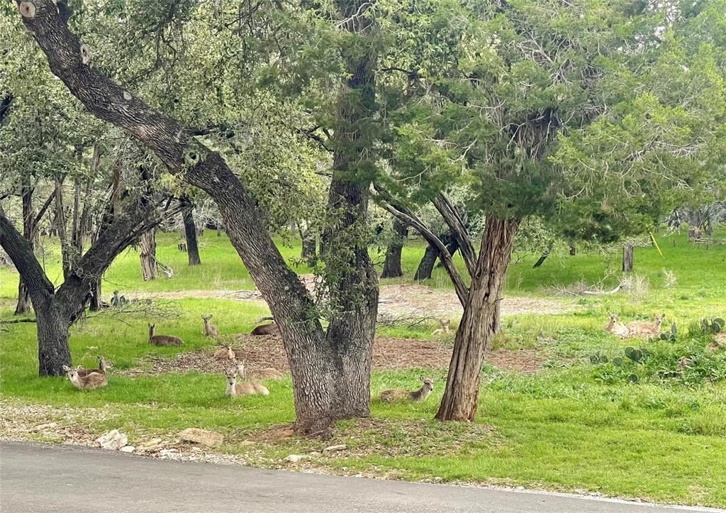 Peninsula - Residential