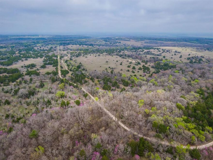 WILDLIFE**DEER**TURKEY, HOGS, Doves all WITHIN 45 MINUTES OF DFW.   If your looking for recreational property with abundant wildlife or just a secluded ranch this is it!! Rolling terrain with expansive views and two creeks.  This property is perfect for your ranch home, several family homes or a weekend getaway and its only 15 minutes off of I35E.  Approximately 45% of this ranch has moderate to heavy cover, several drainages on it converge into an excellent location for a pond.  There is a well on the property but condition of it is unknown.