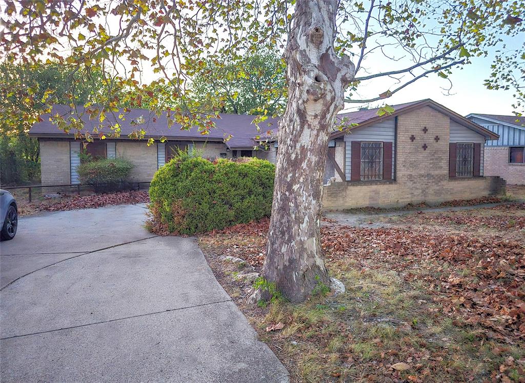 7309 Broken Tree Trail
