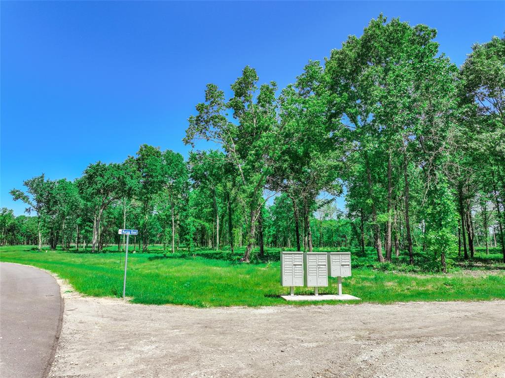 Angler Shores -2147 - Land