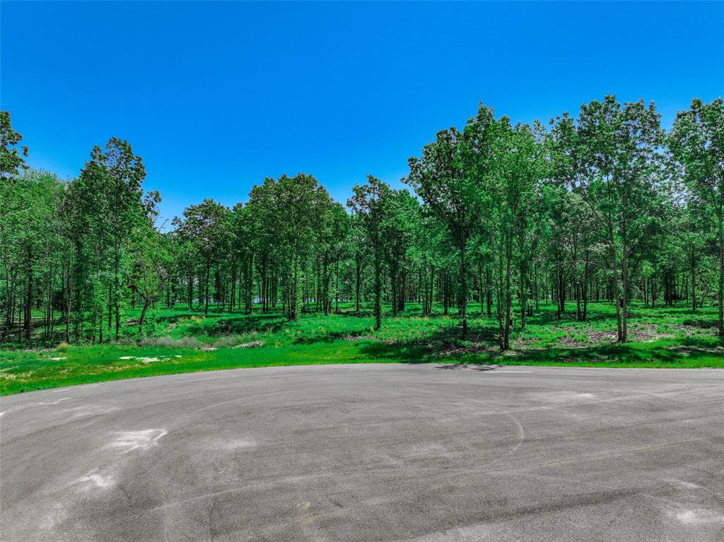 Angler Shores -2147 - Land