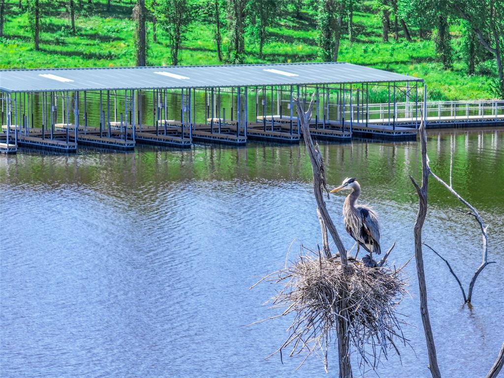 Angler Shores -2147 - Land