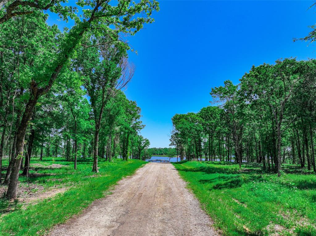 Angler Shores -2147 - Land