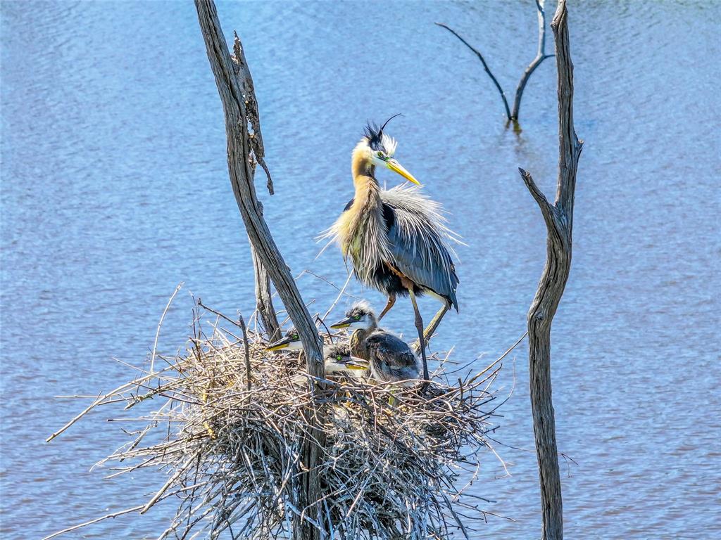 Angler Shores -2147 - Land