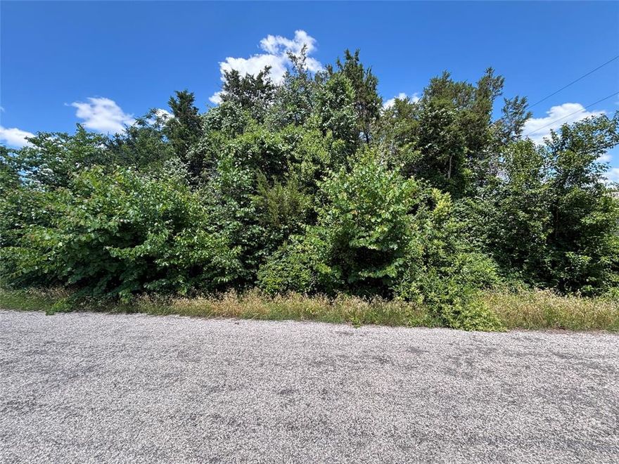 Don't miss this great opportunity to own one—or both—of these side-by-side 0.1-acre lots in the Oak Trail Shores community near Granbury, TX.  The other lot is 2616 Sycamore Ct (Parcel ID R00023566).  Purchase individually or together for added space to build your dream home or enjoy as a weekend getaway spot.  This amazing community offers fantastic amenities, including a community pool, two playgrounds, clubhouse-community center and three boat ramps with Brazos River access.  Enjoy peaceful living with convenient access to downtown Granbury's shopping, dining, and entertainment.
No surveys available for either lot. Buyer to verify all information.