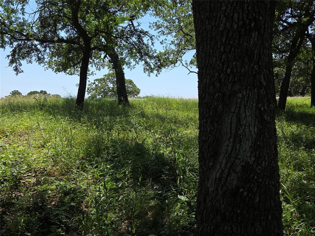 The Woods At Richland Chamb - Land