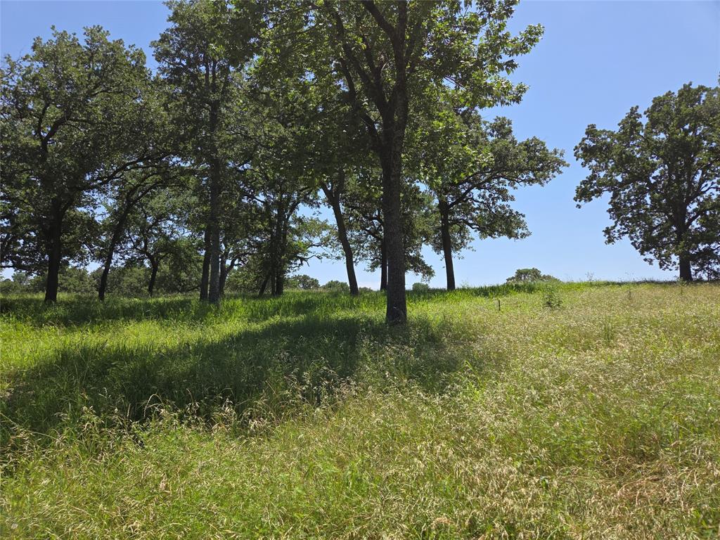 The Woods At Richland Chamb - Land