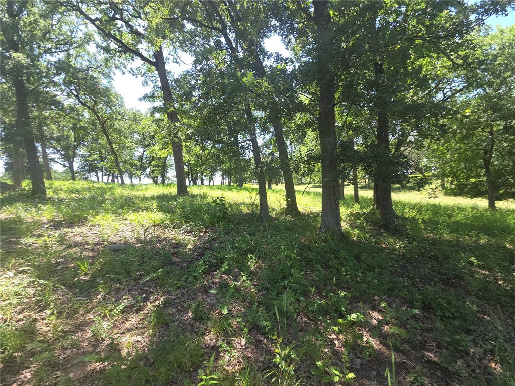 The Woods At Richland Chamb - Land