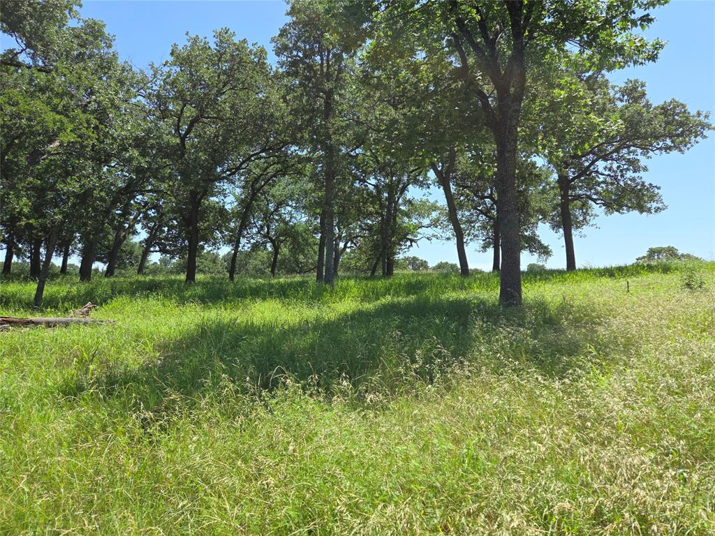 The Woods At Richland Chamb - Land