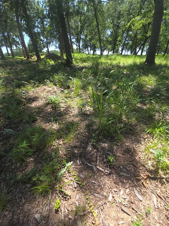 The Woods At Richland Chamb - Land