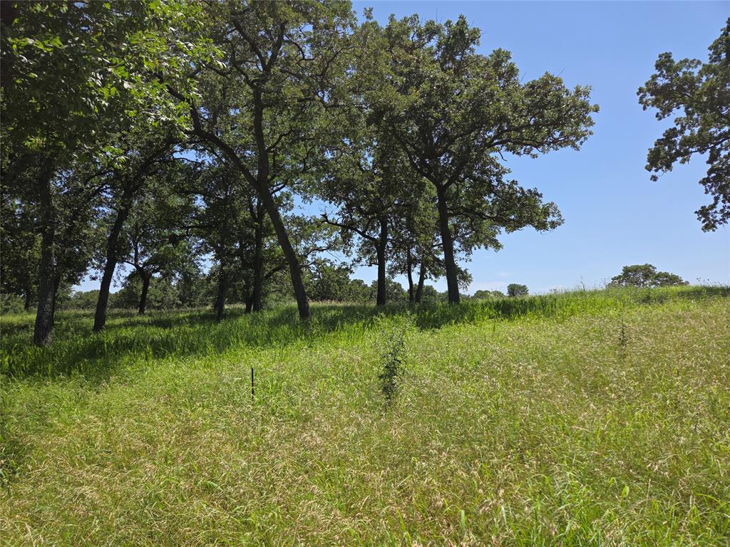 The Woods At Richland Chamb - Land