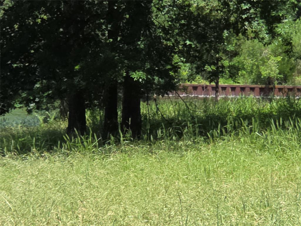 The Woods At Richland Chamb - Land