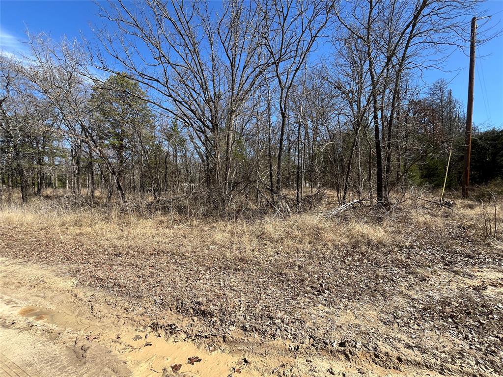 King Script Cove Add - Land