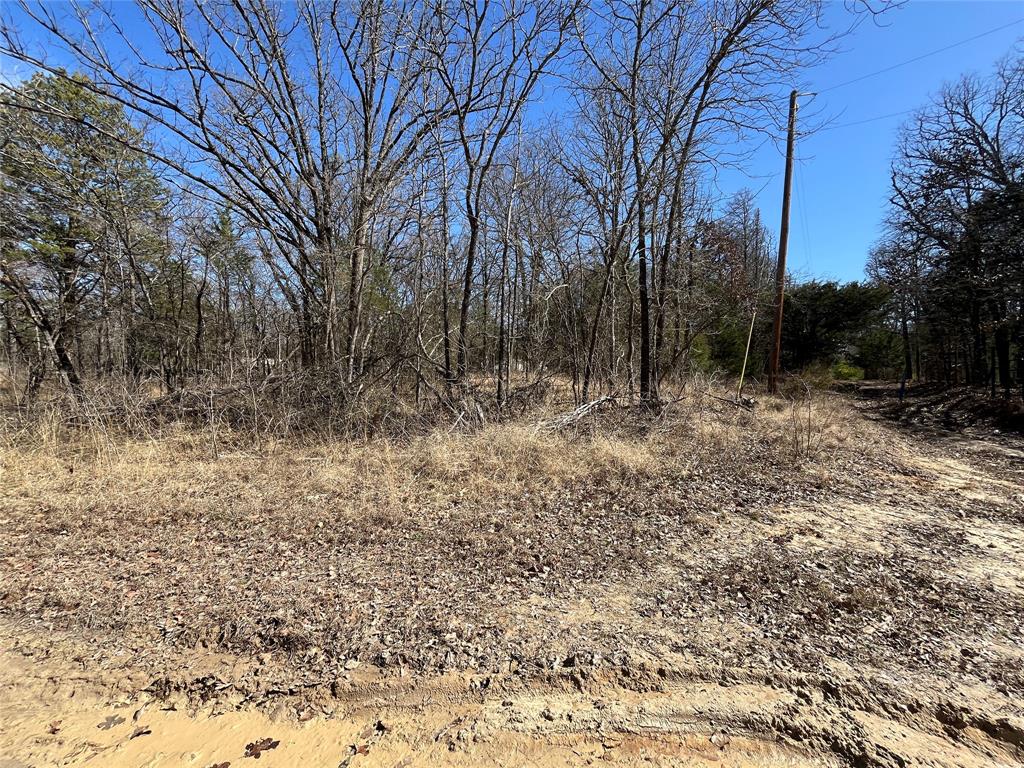 King Script Cove Add - Land