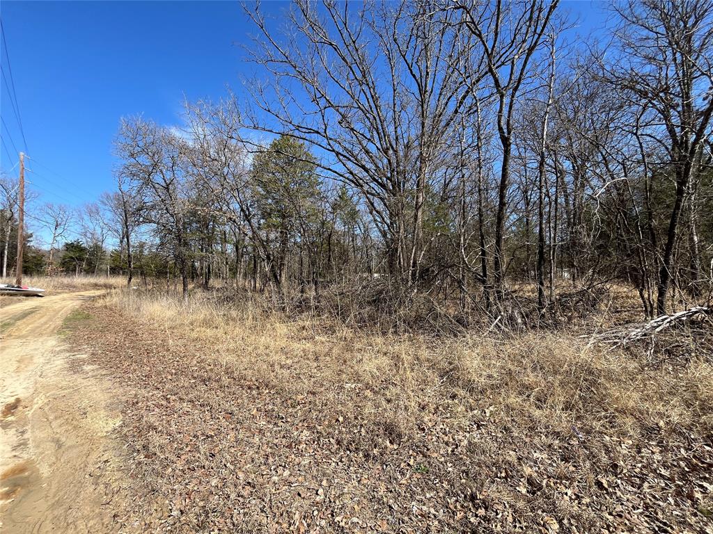 King Script Cove Add - Land