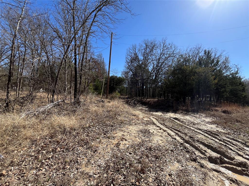 King Script Cove Add - Land