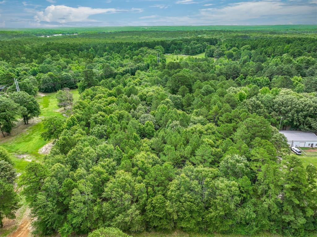 W L Mckinley Surv Abs #682 - Land