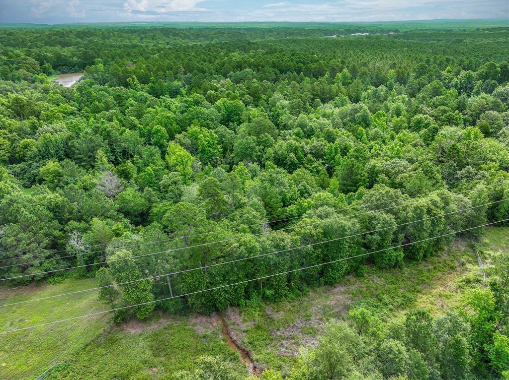 W L Mckinley Surv Abs #682 - Land