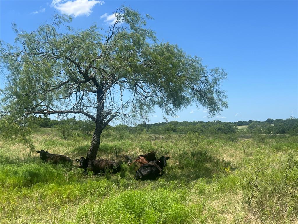 771 HCR 2233
