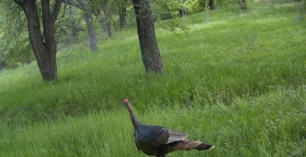 West ISD - Residential