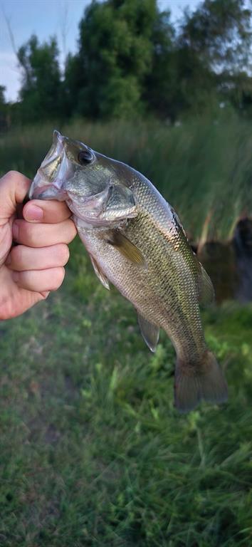 West ISD - Residential