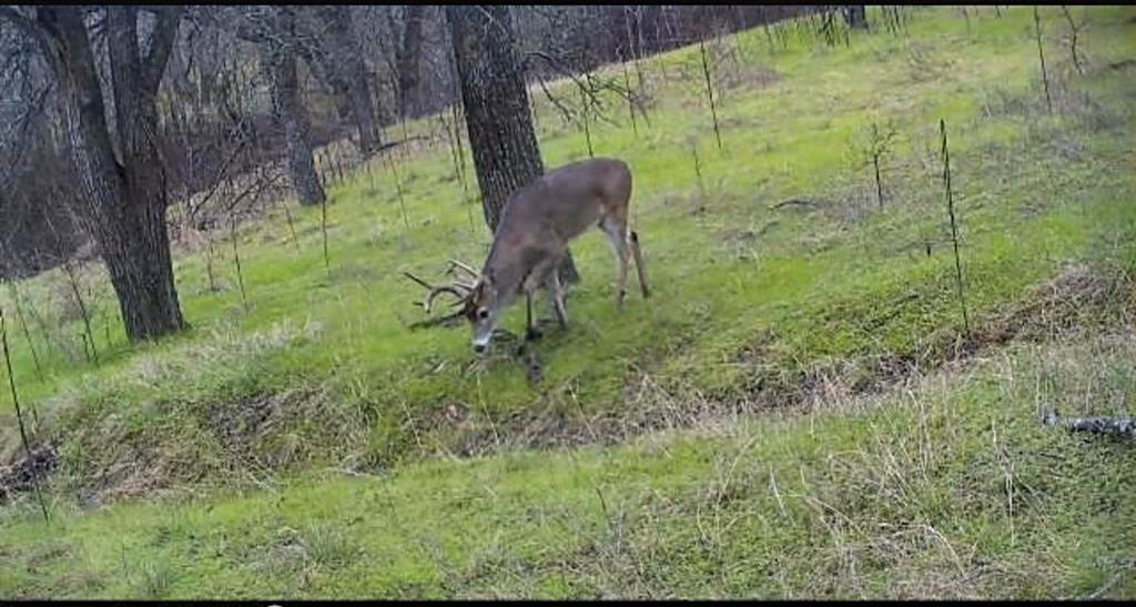 West ISD - Residential