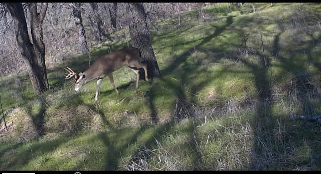 West ISD - Residential