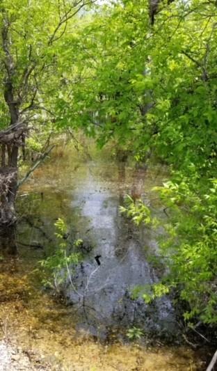 Suburban Estates - Farm