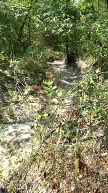 Suburban Estates - Farm